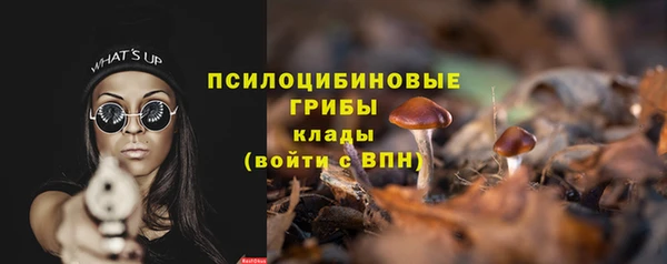 трава Бронницы