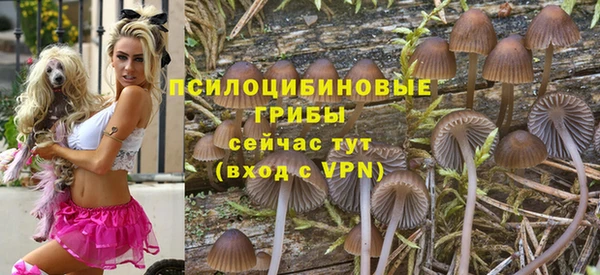 спиды Верея