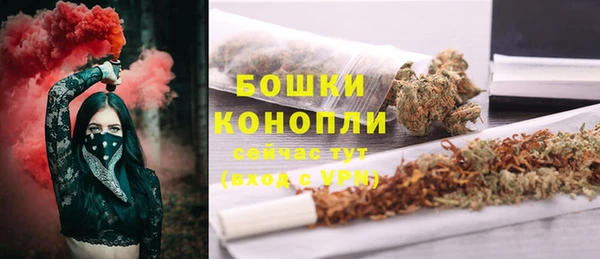 тгк Бородино